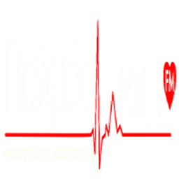 Παλμός 94,9 logo