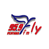 Fly 95.9 logo