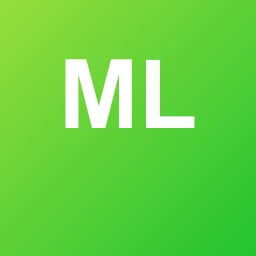 Music Life 95.1 logo