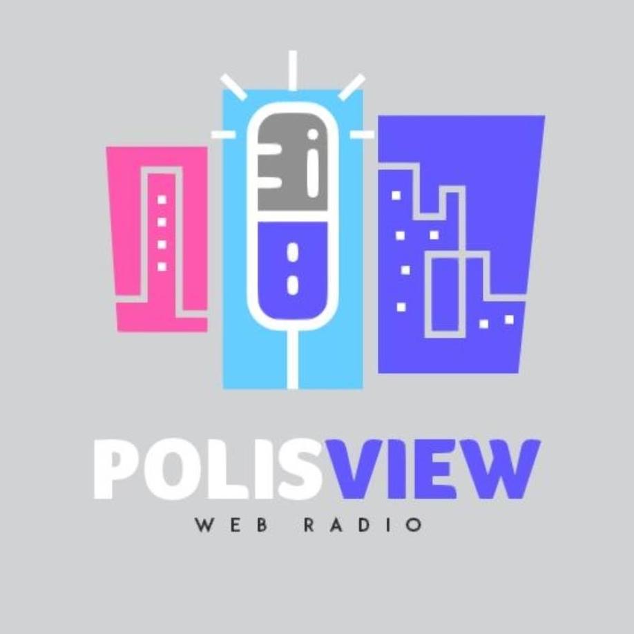 PolisView logo