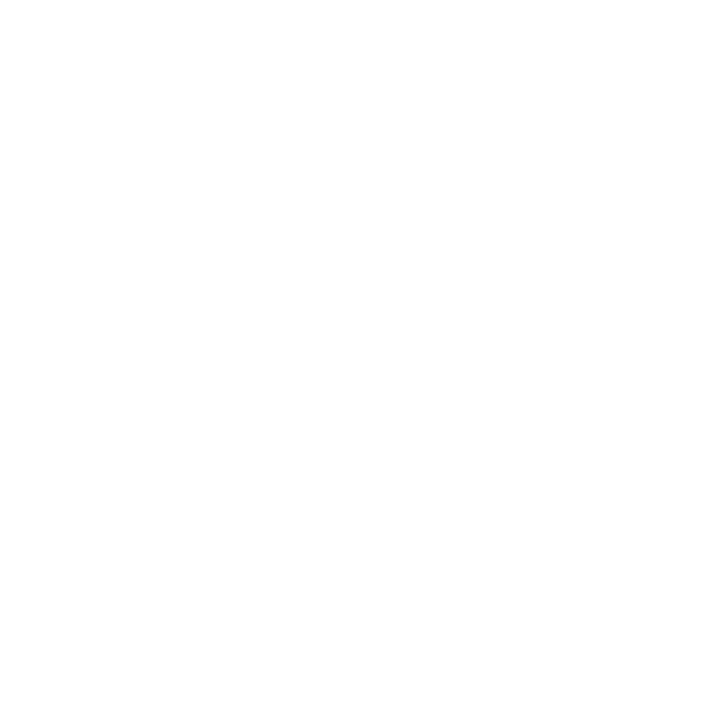 Radio Pirate Live Logo